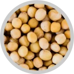 Soyabeans Grain